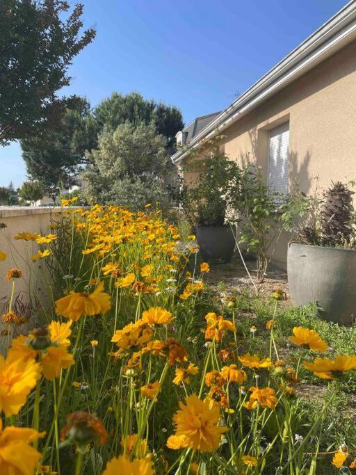 Villa Calme & Confort, Piscine, Jardin, Parking